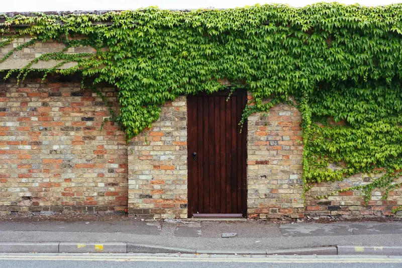 Brick garden wall with timber door