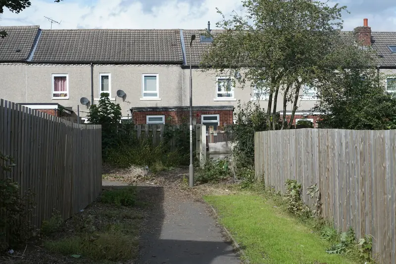 Garden fences behind a row of terraced houses